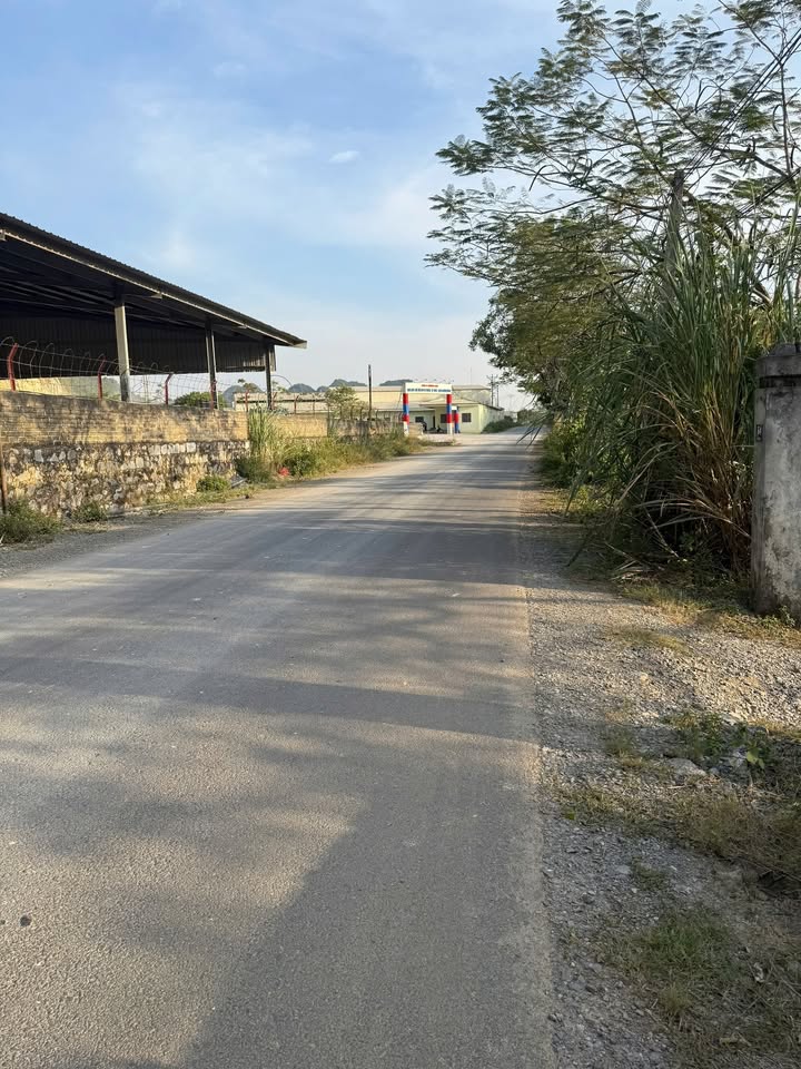 Đất nền Lộc Thịnh, Ngọc Lặc 175m² - Giá đầu tư không thể tốt hơn!