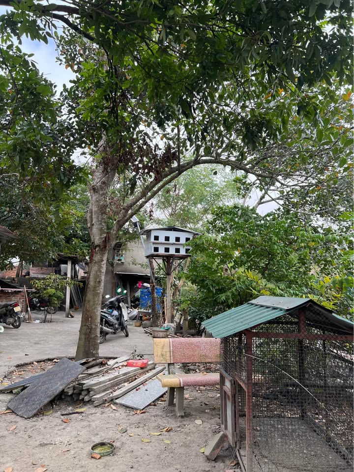 Đất nền 2402m² tại phường Việt Hưng, Hạ Long - Đường rộng, thích hợp đầu tư!