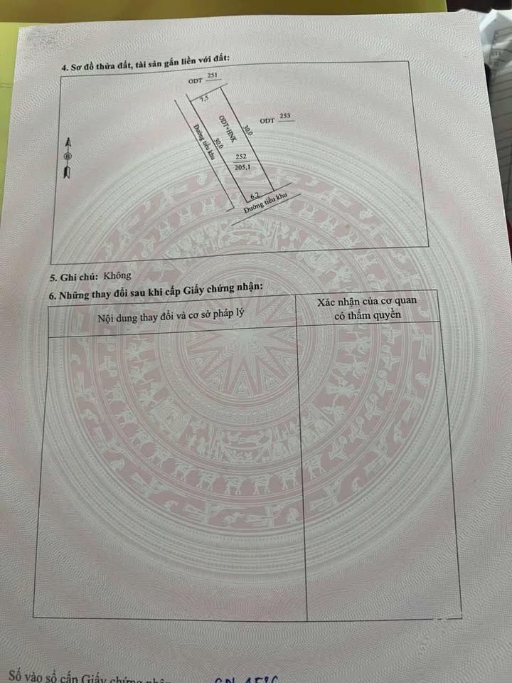 Đất Nền Đầu Ve Nở Hậu 186m² Tại Tiểu Khu Bái Đa, Nông Cống - Cơ Hội Đầu Tư Hiếm Có!