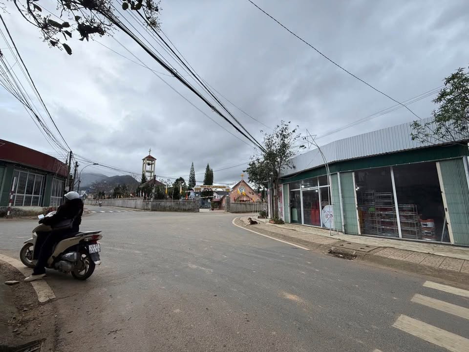 Đất mặt tiền đường nhựa chính Phường Langbiang Đà Lạt 99m² - Kinh doanh sầm uất!