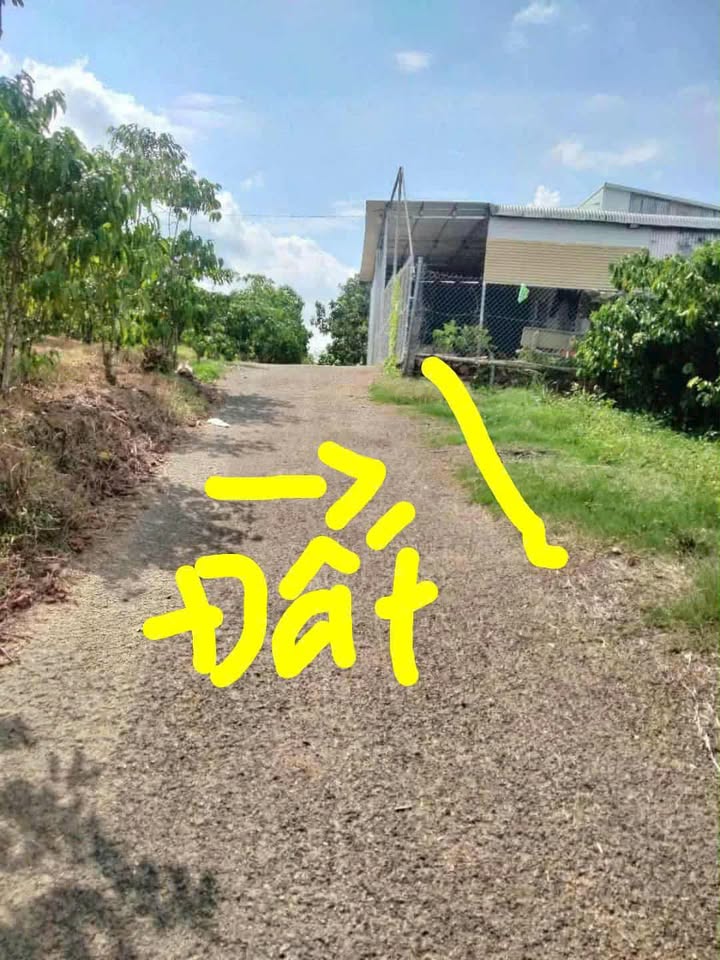 Đất nền thổ cư 570m² thôn 13 Lộc Thành - Giá chỉ 1.2 tỷ, cơ hội đầu tư hấp dẫn!