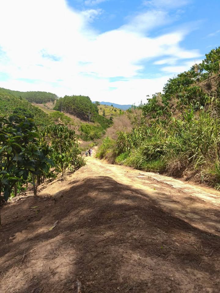 Đất nền 1600m² xã Phú Sơn, Lâm Hà - Giá chỉ 350 triệu, cơ hội đầu tư tuyệt vời!