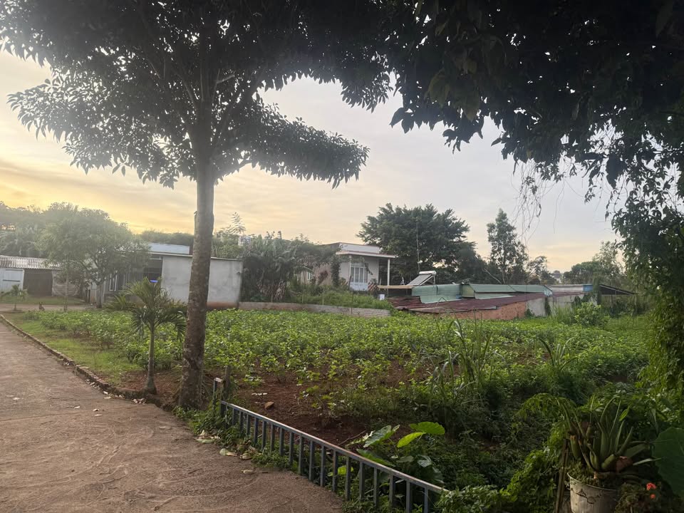 Đất thổ cư Lý Thường Kiệt, Lộc Quảng, Bảo Lâm 381m² giá 1.3 tỷ - Cơ hội đầu tư tuyệt vời!