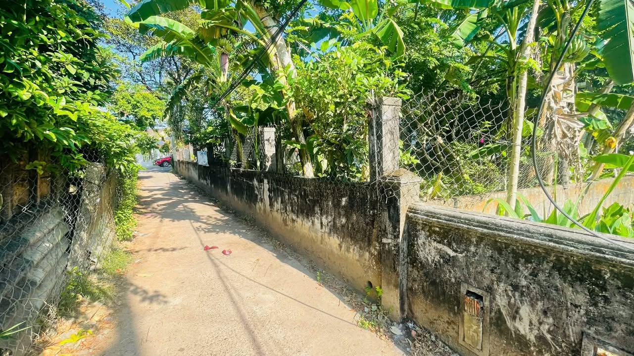 Đất nền Nguyễn Trãi - Quảng Trị 99m² - Giá tốt, vị trí thuận lợi!