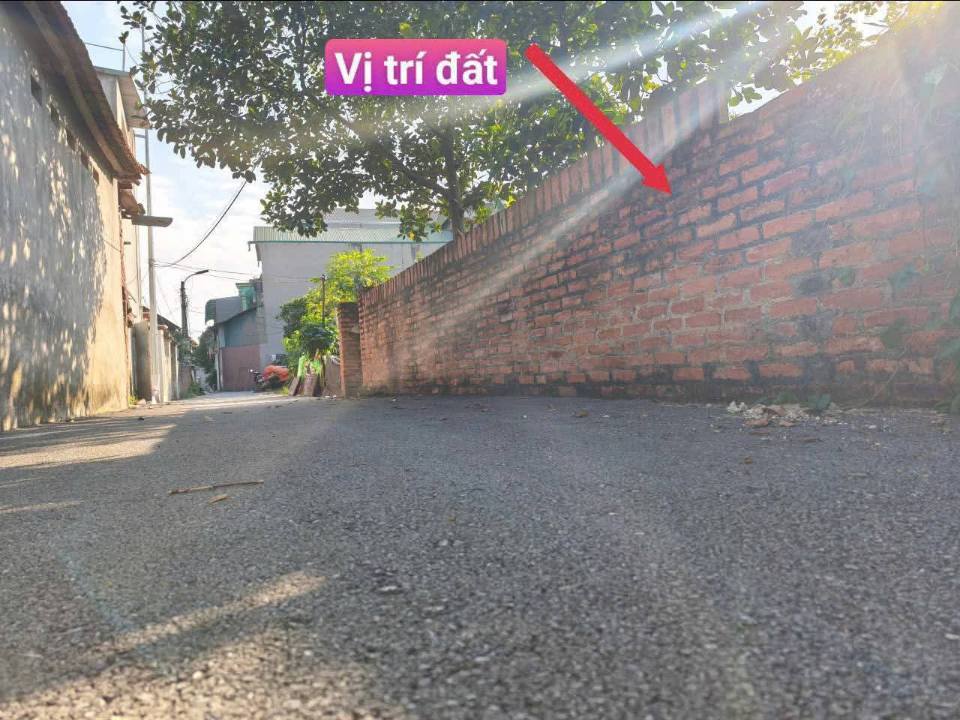 Đất thổ cư Đồng Tâm, Vĩnh Yên 80m² giá 1.3 tỷ - Đường 2 đầu tiện lợi!