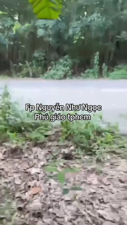 Đất nền Phú Giáo 2 ha mặt tiền 58m - Đầu tư sinh lời ngay!