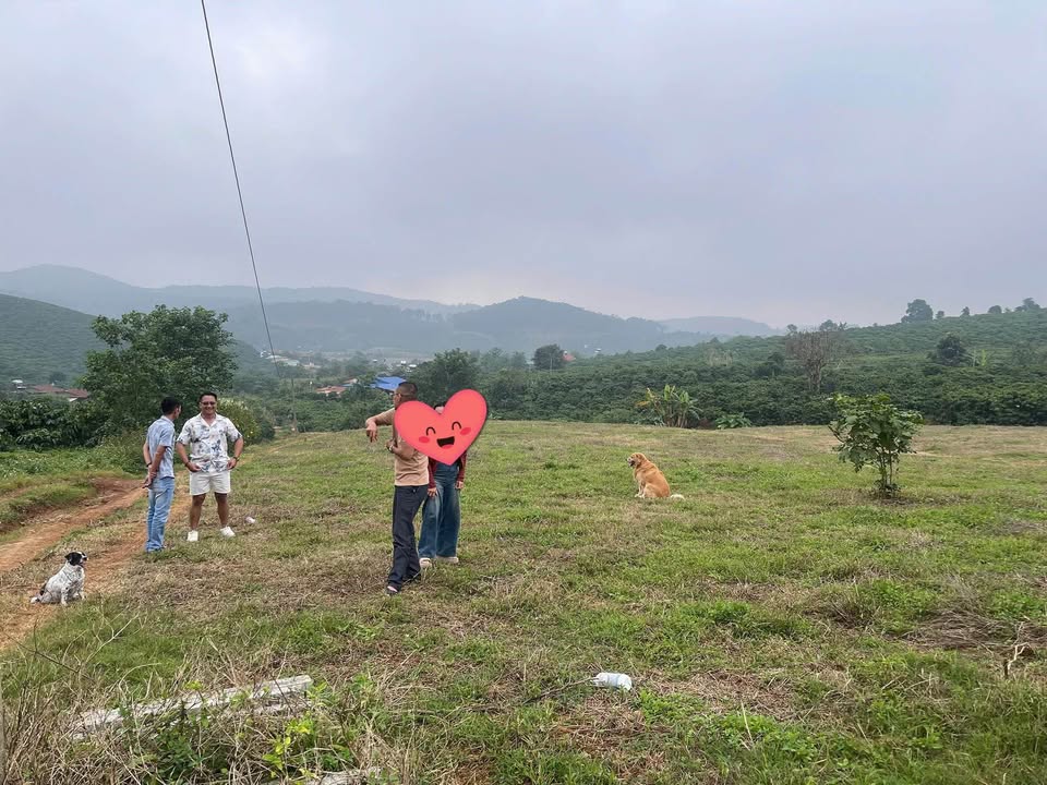 Đất nền 500m² tại Xã Tà Hine, Đức Trọng - Giá chỉ 400 triệu!