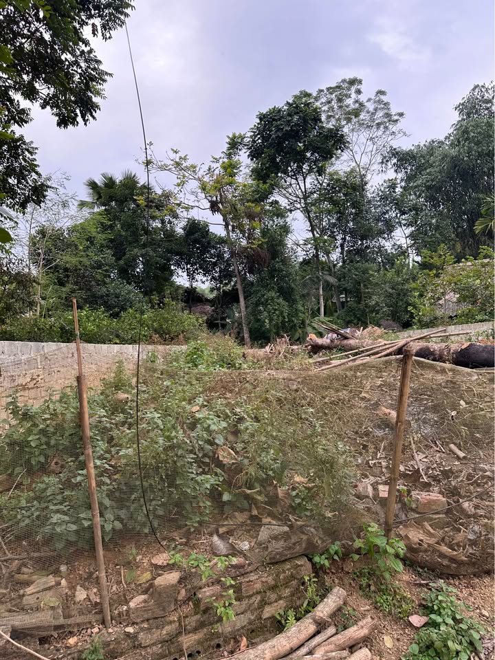 Đất nền thôn Đồn Len, Lưỡng Vượng, 160m² - Cơ hội đầu tư hấp dẫn!