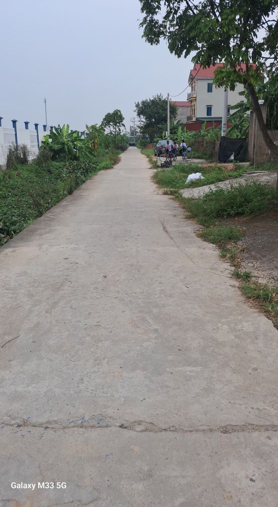 Đất nền phường Trạm Lộ, Thuận Thành 50m² - Sổ đỏ chính chủ, giao dịch ngay!