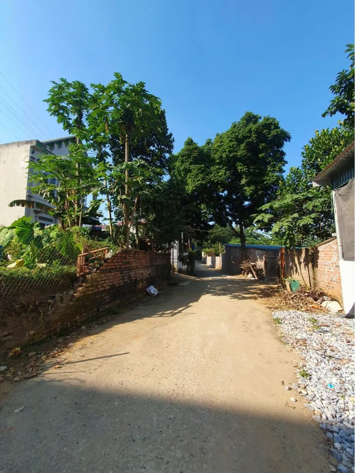 Đất nền Kim Đức, Việt Trì 71m² giá 800 triệu - Ô tô tránh nhau, vị trí đắc địa!