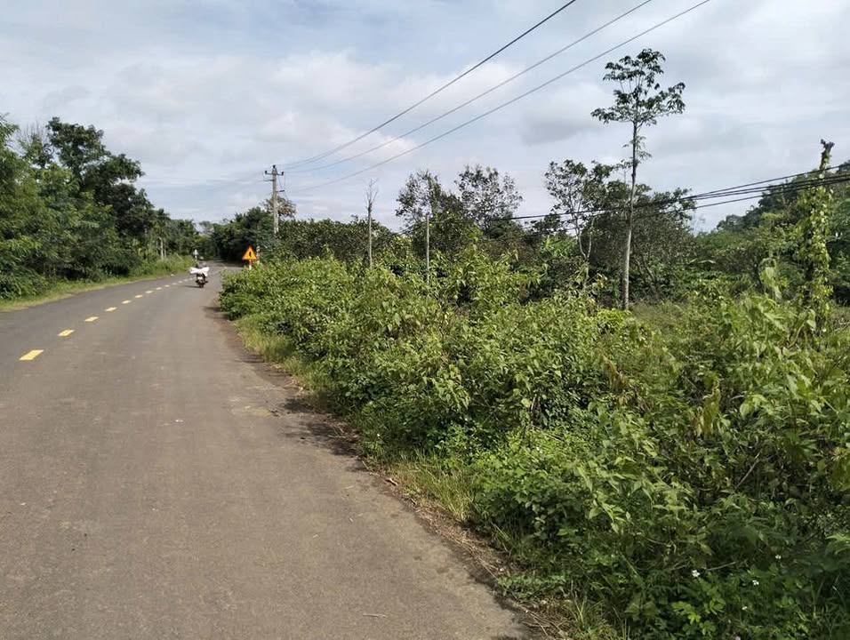 Đất kho bãi tại buôn Kram, xã Ea Tiêu, 1260m² giá 1.55 tỷ - Cơ hội đầu tư hấp dẫn!