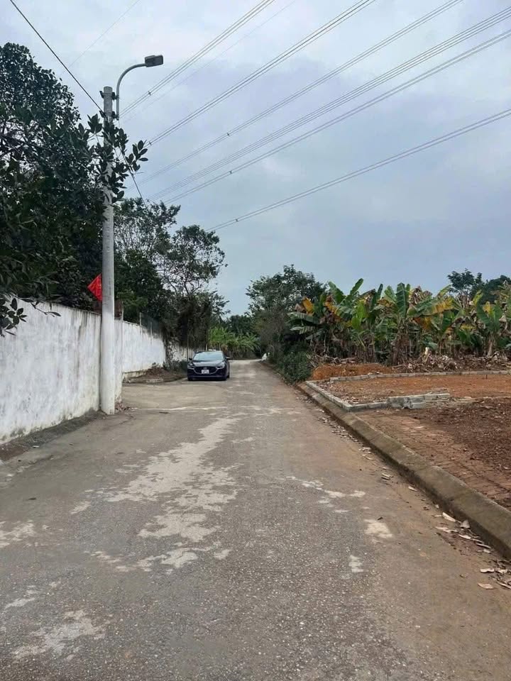 Đất thổ cư 100m² tại thôn Lẻ, xã Đạo Tú, Tam Dương - Giá chỉ 1.4 tỷ VND!