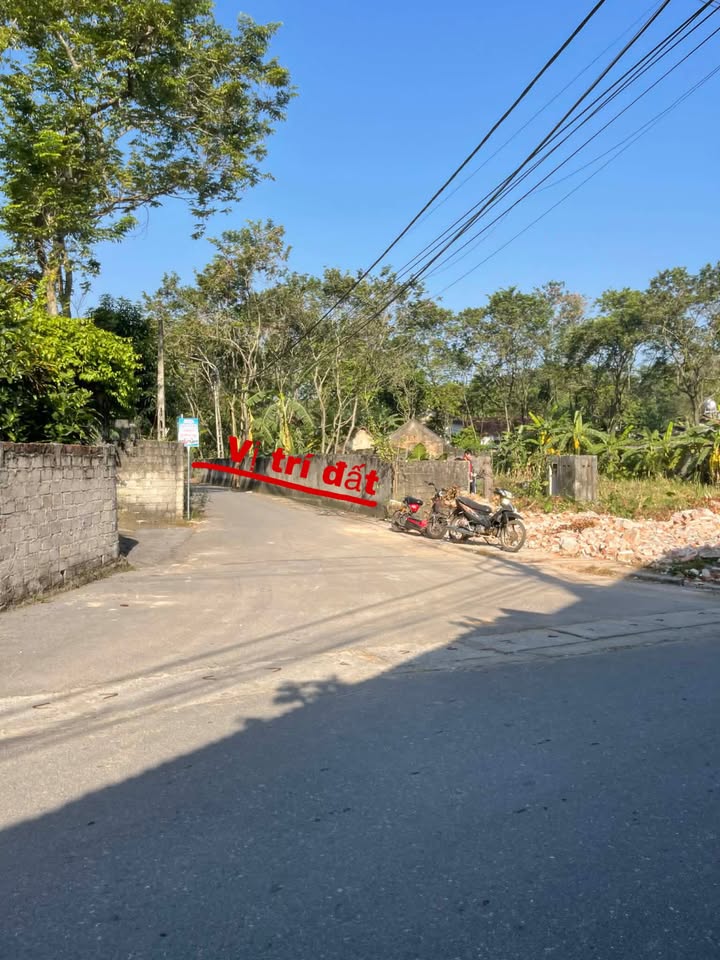 Đất nền Đồng Tĩnh, Tam Dương, Vĩnh Phúc 100m² - Sổ đỏ chính chủ, giá chỉ từ 800 triệu!