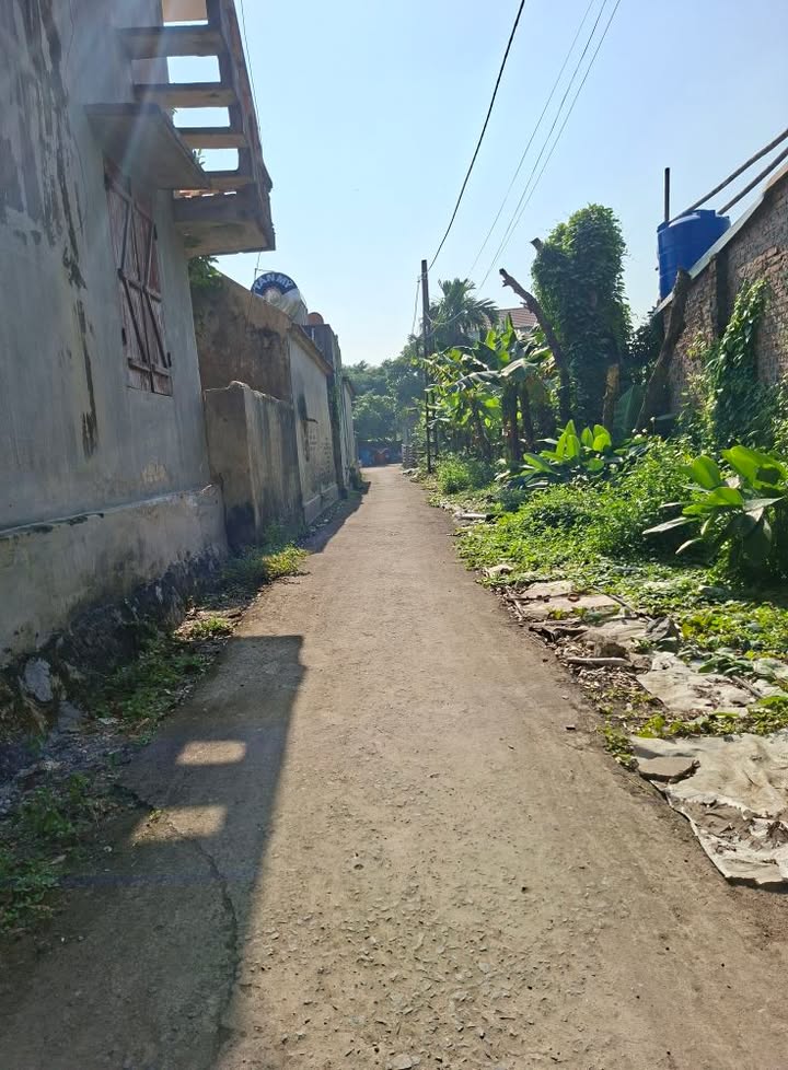 Đất nền thị trấn Lâm, Ý Yên 90m² giá 800 triệu - Cơ hội đầu tư hấp dẫn!