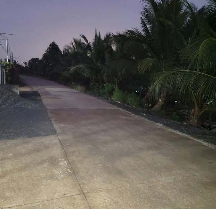 Nhà cấp 4 mặt tiền đường Bờ Cua, Bến Lức - Diện tích 312m², giá chỉ 3.5 tỷ!