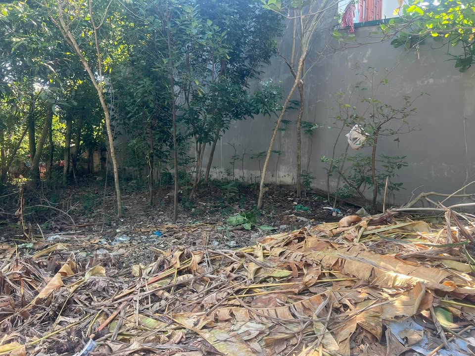 Đất nền phường An Tường 168m² giá 1 tỷ - Đầu tư sinh lời tốt!