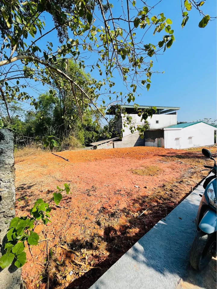 Đất nền phường Minh Xuân Tuyên Quang 100m² - Giá tốt cho đầu tư!