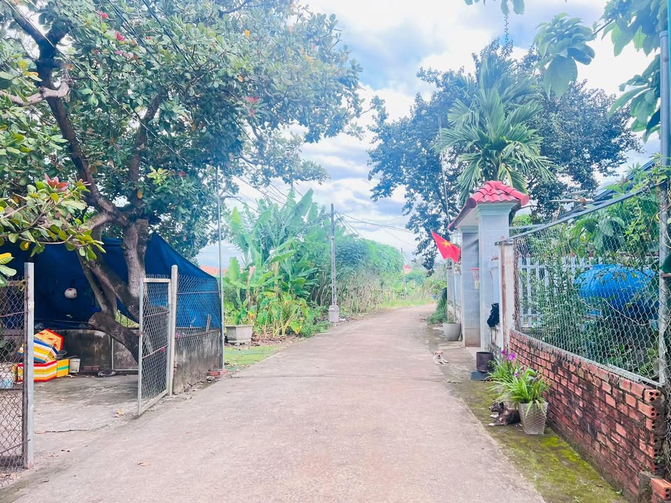 Đất nền Tiến Thành 125m² giá 800 triệu - Đầu tư sinh lời tốt!