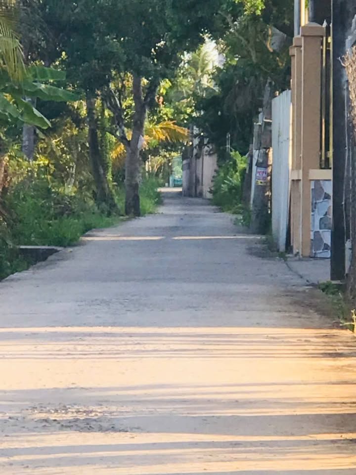 Đất An Khánh Bến Tre 503m² giá 1.5 tỷ - Cơ hội đầu tư sinh lời!