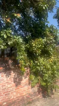 Đất nền khu 4 Phường Âu Cơ, Phú Thọ 136m² giá chỉ 900 triệu - Mặt tiền đẹp, thoáng rộng!