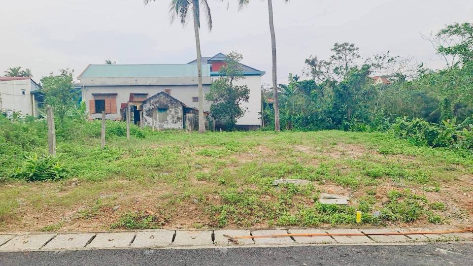 Đất nền Lê Trọng Tấn, Tân Phú, 138m² giá 1.2 tỷ - Vị trí đắc địa, không lo ngập lụt!