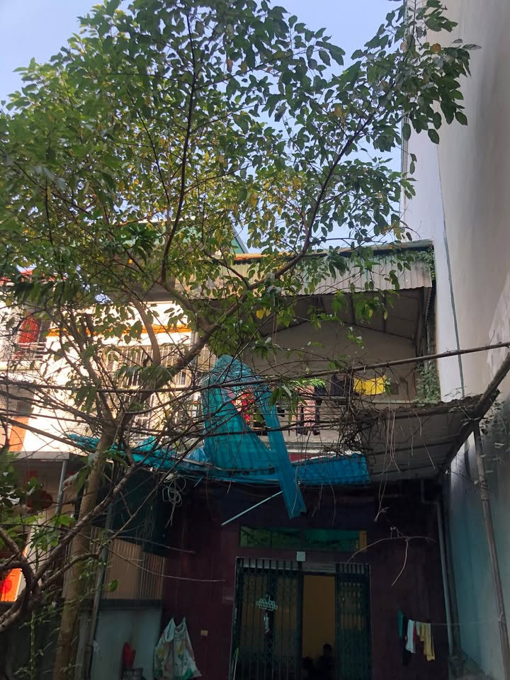 Nhà phân lô Ngô Gia Tự, Long Biên 116m² giá 12.9 tỷ - Tiềm năng đầu tư cực tốt!