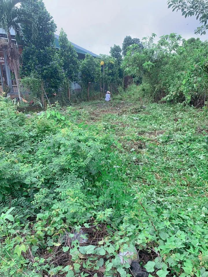 Đất mặt tiền đường 30/4, xã Phú Bình, huyện Tân Phú, 204m² giá 3.4 tỷ - Cơ hội đầu tư sinh lời!