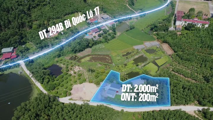 Lô vườn tại Núi Lim - Tam Tiến, Yên Thế 2000m² giá 1.5 tỷ - Tiềm năng tăng giá mạnh!