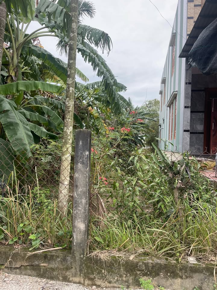 Đất nền Duy Phước 165m² giá 800 triệu - Đầu tư sinh lời ngay!