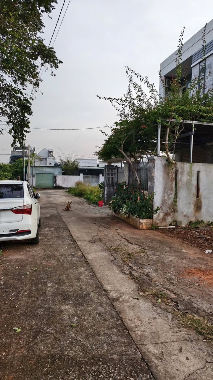 Đất nền Hòa Long, Bà Rịa 147m² giá chỉ 1.6 tỷ - Vị trí đẹp, dân cư đông đúc!