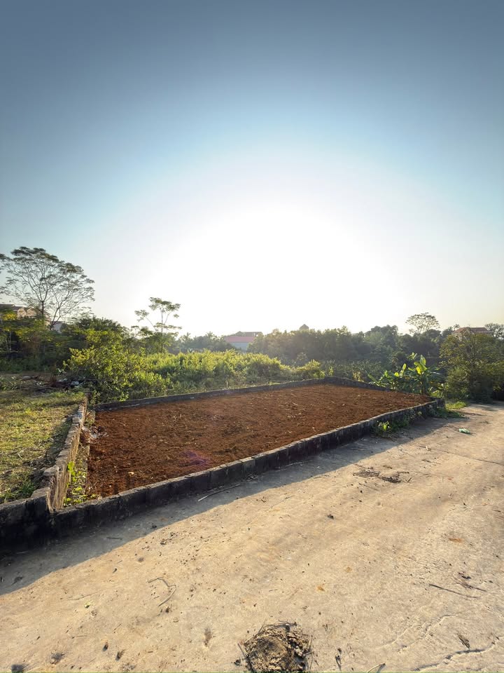 Đất nền 100m² tại Đông Yên, Quốc Oai chỉ 1 tỷ - Lô góc 2 mặt tiền