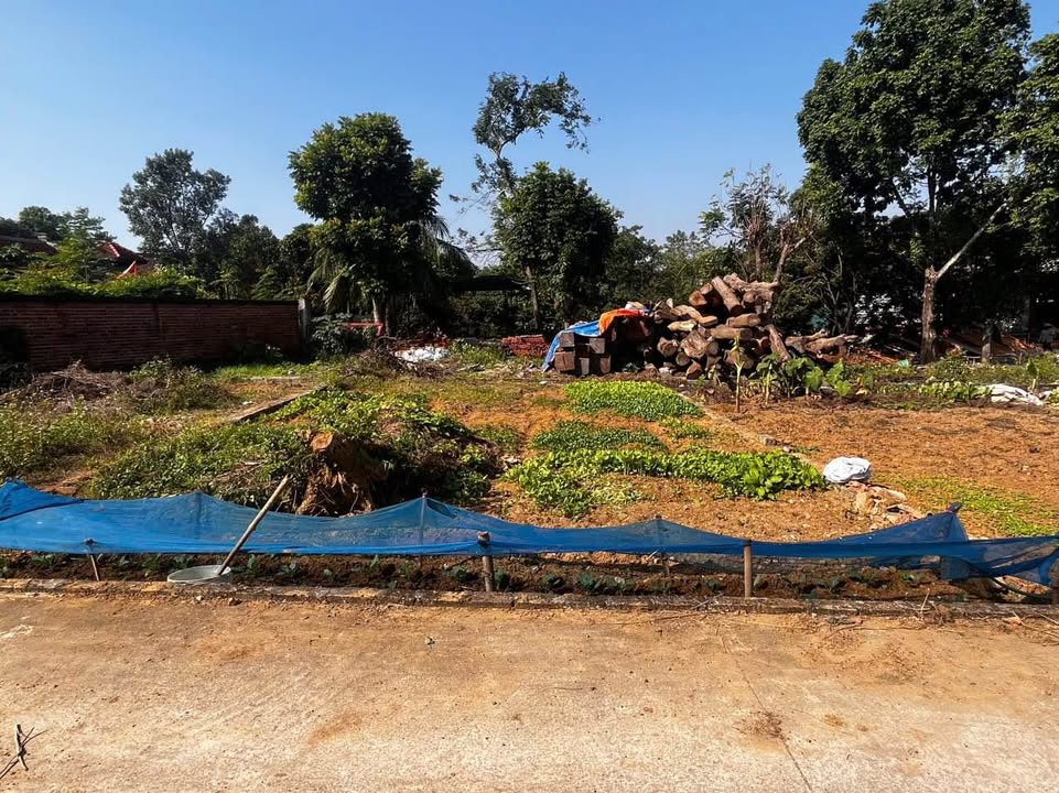 Đất thổ cư 75m² tại Chầm Muộn, Đồng Trúc - Giá thỏa thuận hấp dẫn!