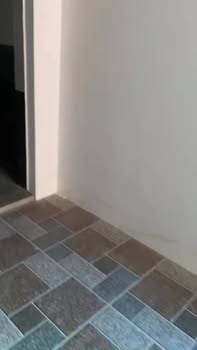 Cho thuê cửa hàng mặt tiền 10m tại xã Quang Hưng, Hưng Yên - Kinh doanh sầm uất!