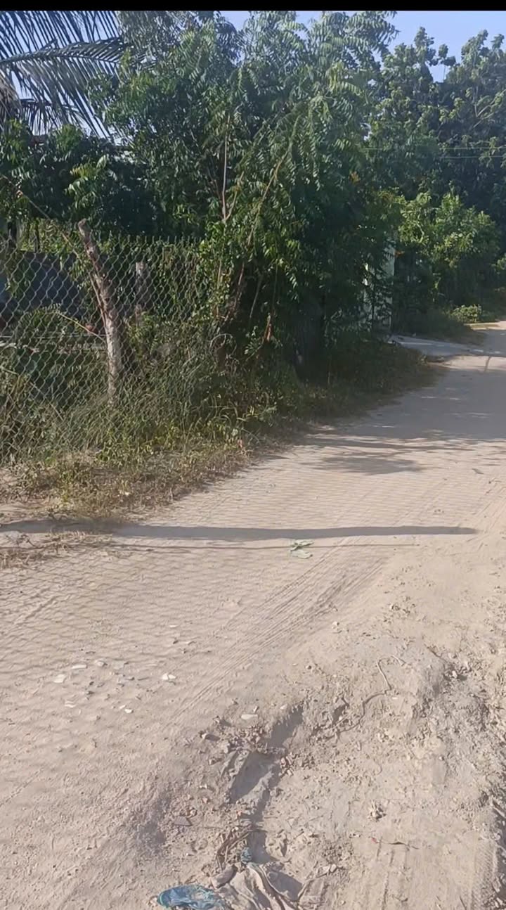 Đất đẹp mặt sông Lu tại Phước Dân, Ninh Phước - Diện tích 177m², giá thỏa thuận!