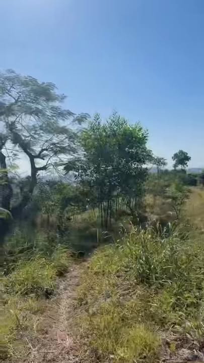 Mảnh vườn 6769m² tại thôn Cổng, xã Kiên Lao, Lục Ngạn giá chỉ 700 triệu - Cơ hội đầu tư tuyệt vời!