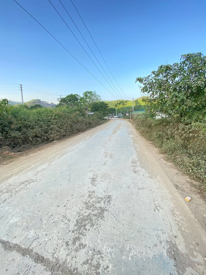 Đất nền Yên Thành 368m² giá thương lượng - Cơ hội đầu tư tuyệt vời!