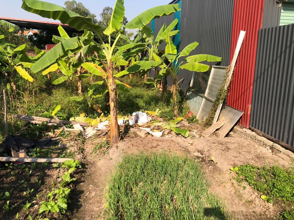 Lô đất tiềm năng tại Mai Đình, Sóc Sơn 94m² giá 3 tỷ - Đầu tư tuyệt vời!