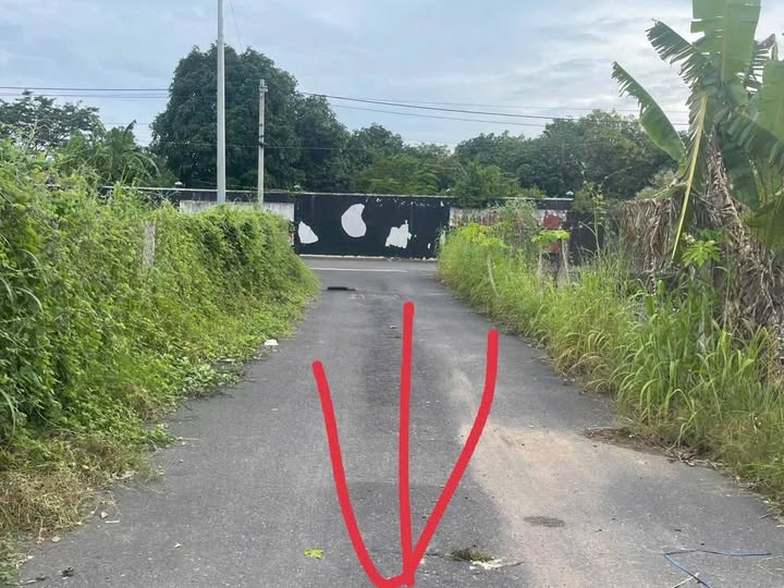 Đất nền Long Điền Bà Rịa - Vũng Tàu 125m² giá 1.85 tỷ - Mặt tiền 2 đường, đầu tư lý tưởng!