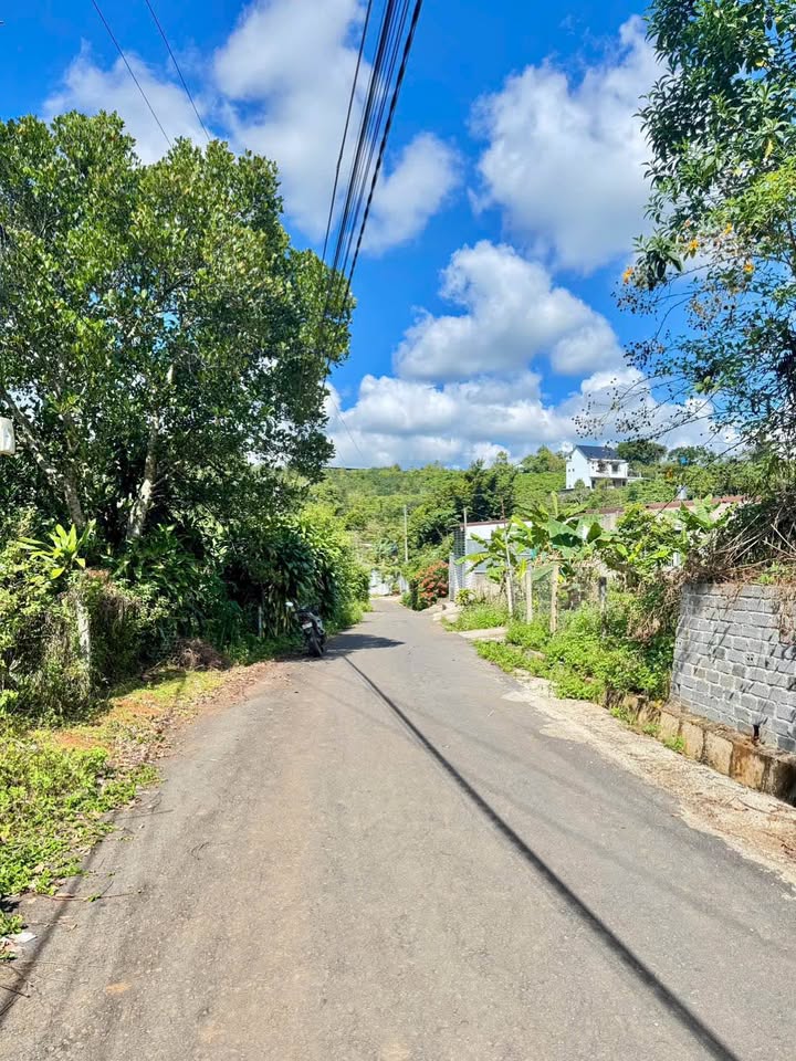 Đất nền Bảo Lộc đường Nguyễn Trãi 270m² giá 1.55 tỷ - Sổ hồng chính chủ!