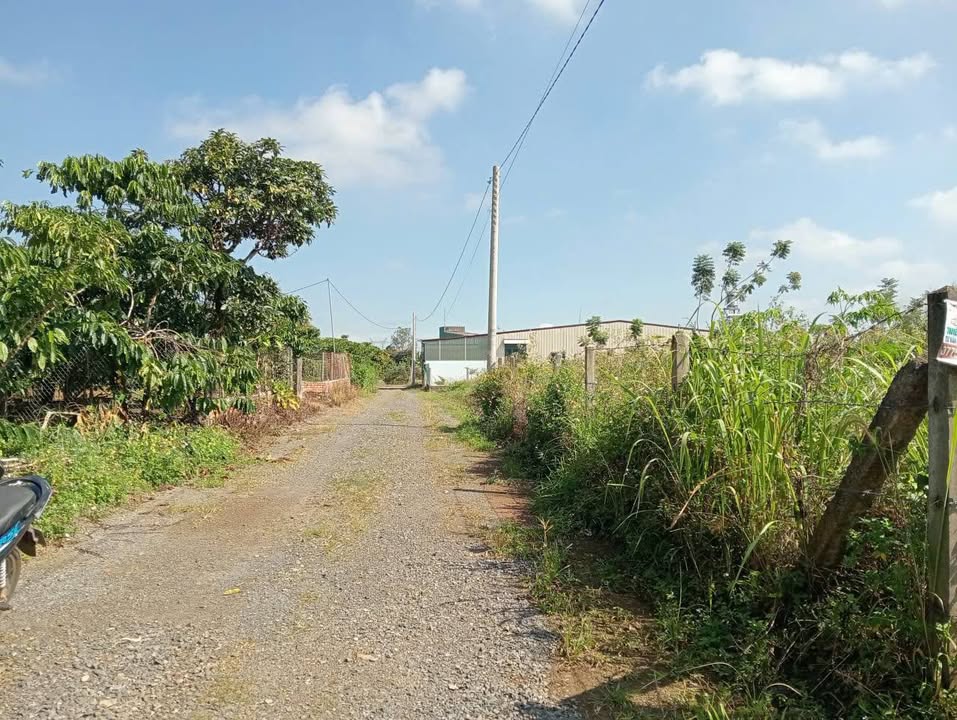 Đất thổ cư Lộc Châu Bảo Lộc 500m² giá 1.65 tỷ - Hướng Tây Bắc, sổ đỏ chính chủ!