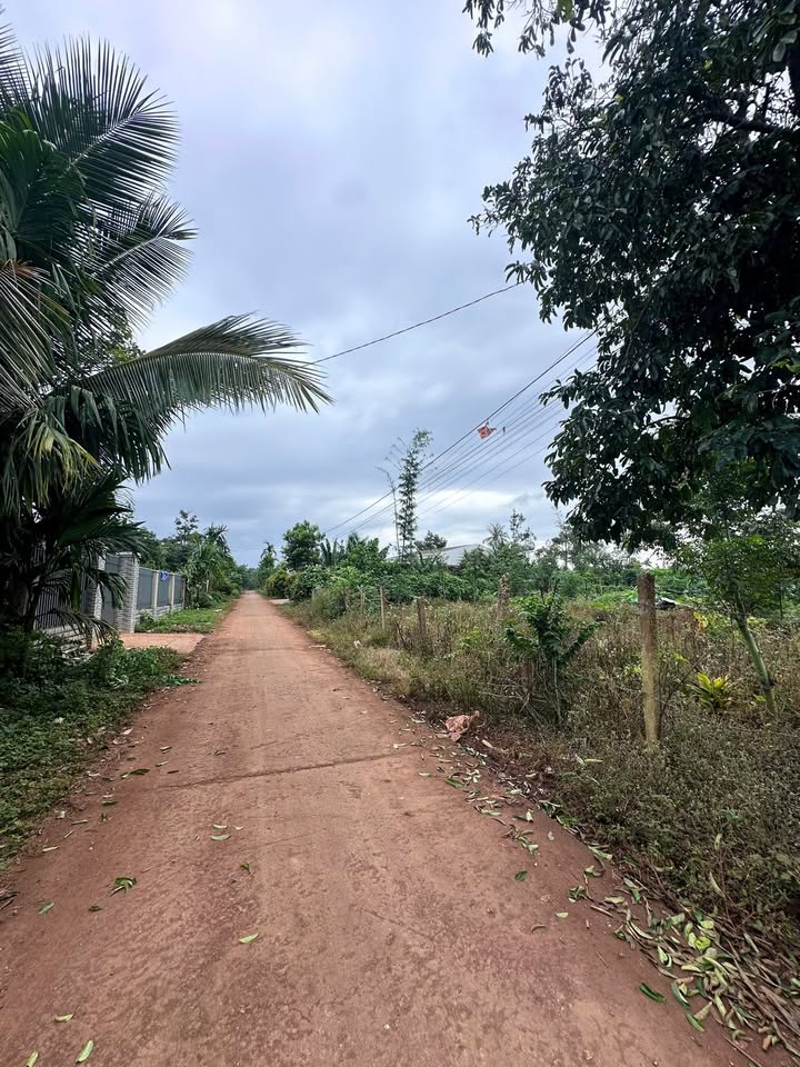 Lô đất đẹp Ea Knuếc, Krông Pắc 495m² giá chỉ 790 triệu - Đầu tư sinh lời ngay!