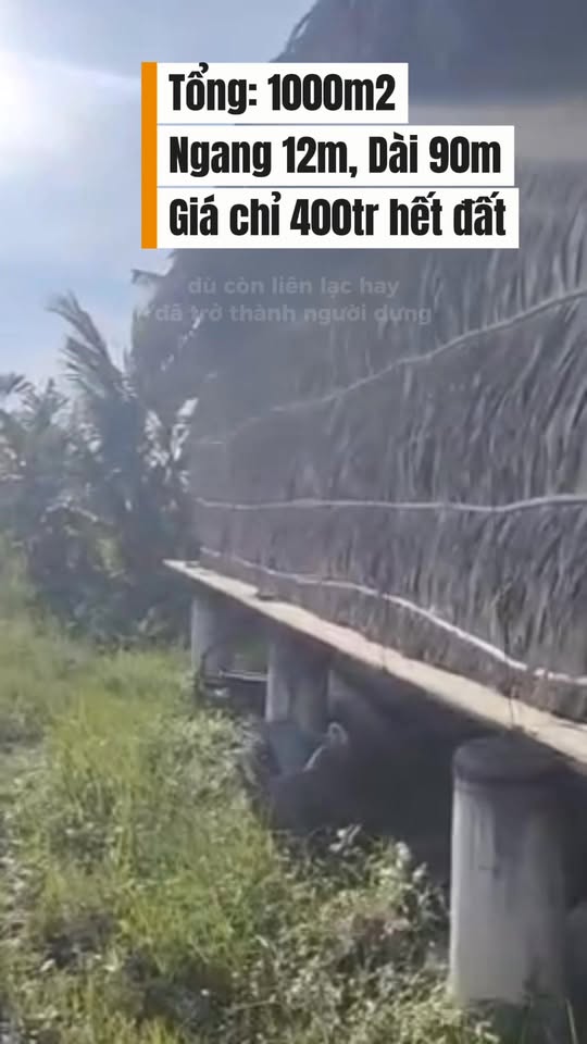 Đất vườn 1.000m² Hiệp Thạnh, Gò Dầu chỉ 400 triệu - Đầu tư sinh lời ngay!