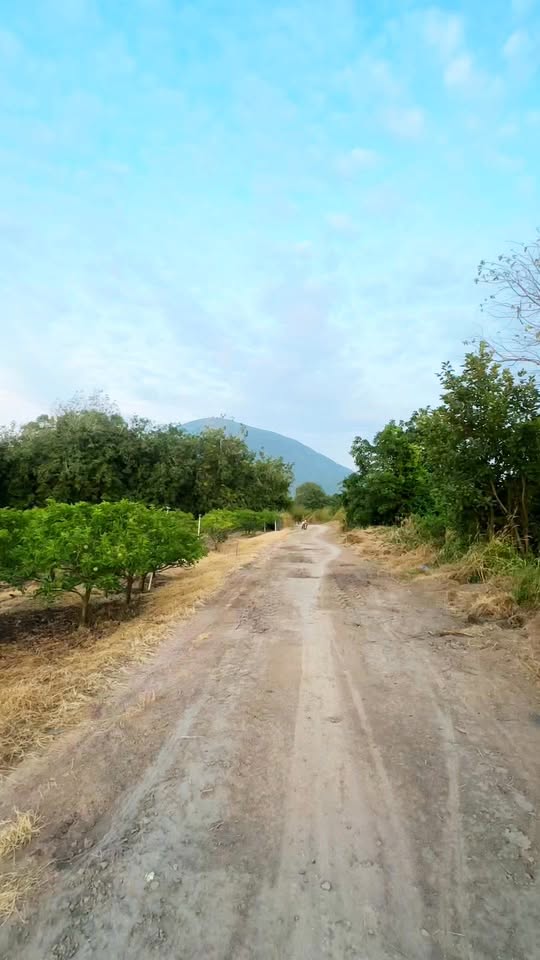 Đất nền Ninh Sơn, Tây Ninh 500m² giá 299 triệu - Phù hợp làm homestay nghỉ dưỡng!