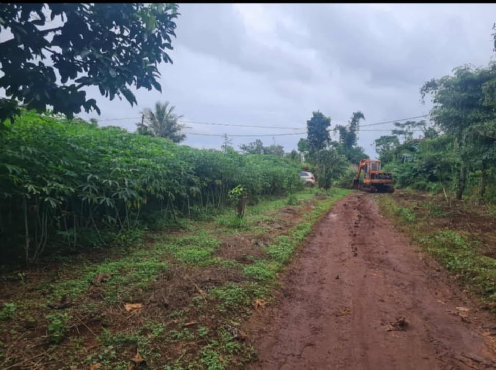 Đất nền liền kề tại Cư M'gar, Đắk Lắk 60m² giá 280 triệu - Cơ hội đầu tư tuyệt vời!