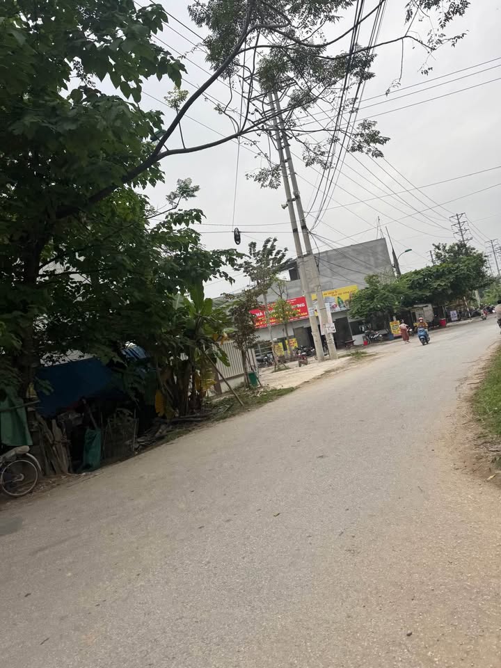 Đất nền phường An Tường 120m² - Mặt đường Sông Lô, kinh doanh thuận lợi!