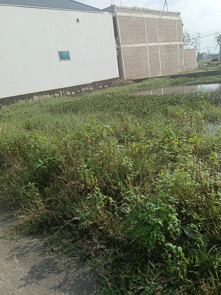 Đất quy hoạch Thạch Hưng 160m² giá thỏa thuận - Cơ hội đầu tư hấp dẫn!