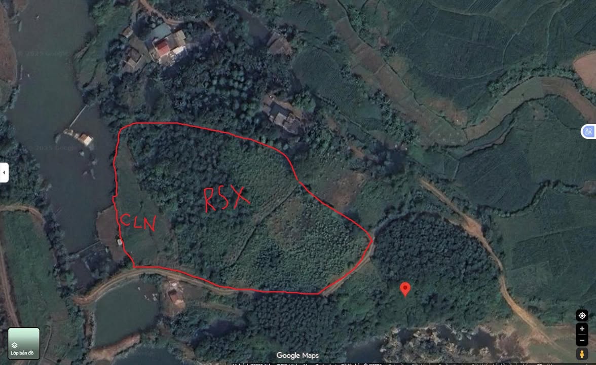 Đất Farm 1ha tại Định Cư, Lạc Sơn, Hòa Bình giá chỉ 1,9 tỷ - Tiềm năng đầu tư tuyệt vời!