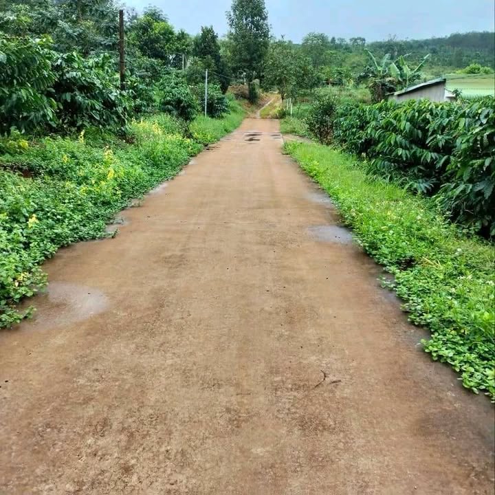 Đất nền Kiến Đức Đắk Nông 301m² giá 450 triệu - Cơ hội đầu tư hấp dẫn!