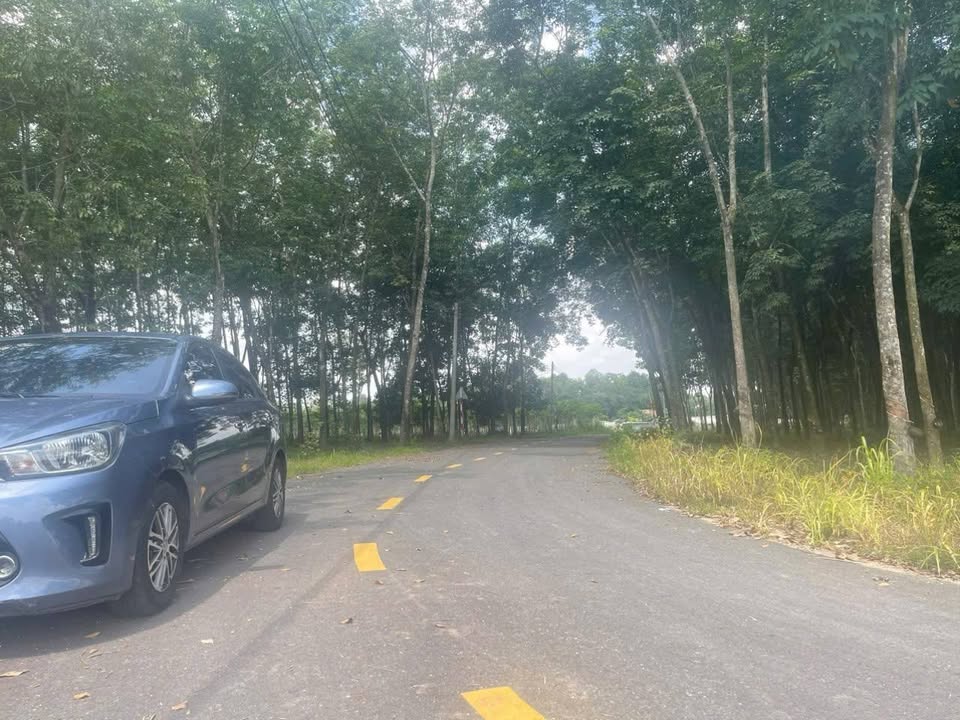 Đất SKC Vĩnh Tân, Tân Uyên 29.943m² giá 110.9 tỷ - Tiềm năng đầu tư lớn!