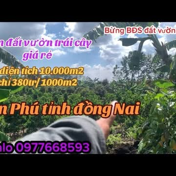 Đất vườn trái cây Phú Lộc Tân Phú 10.000m² giá chỉ 1.368 tỷ - Cơ hội đầu tư tuyệt vời!